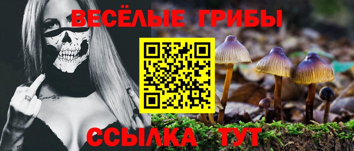 наркота  Вход с VPN  Йошкар-Ола  Галлюциногенные грибы Psilocybine cubensis 