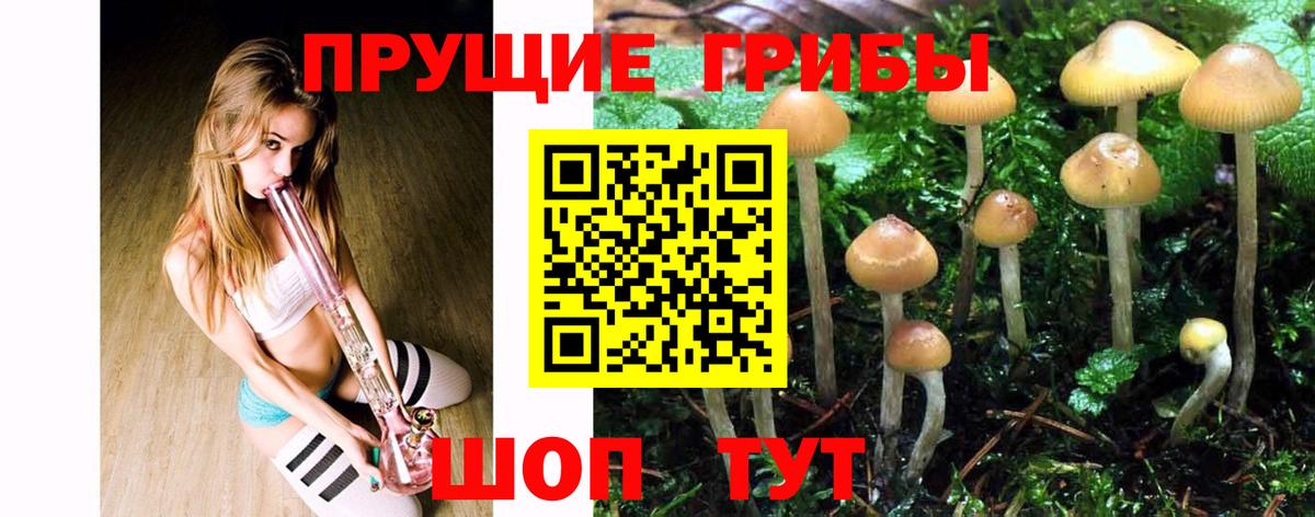 Псилоцибиновые грибы мицелий Йошкар-Ола